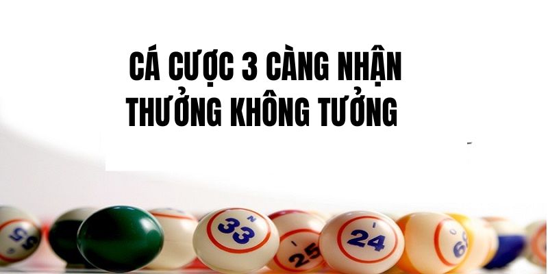 Cá cược 3 càng nhận thưởng không tưởng 