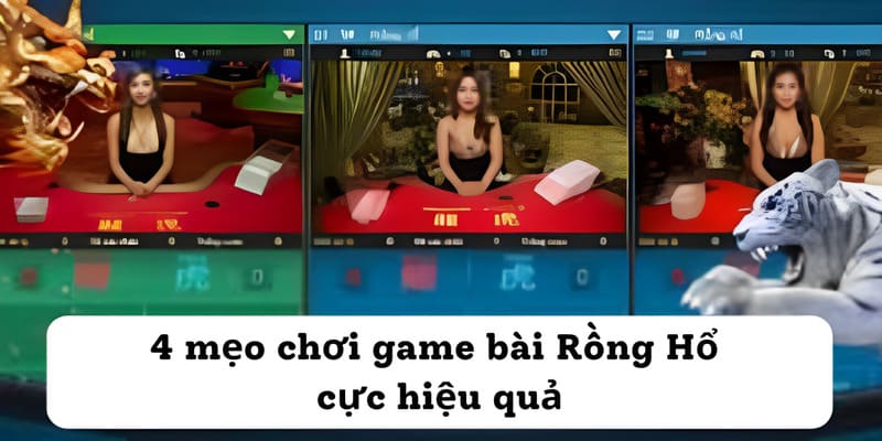 4 mẹo chơi game bài Rồng Hổ cực hiệu quả