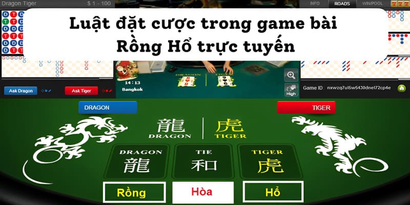 Luật đặt cược trong game bài Rồng Hổ trực tuyến